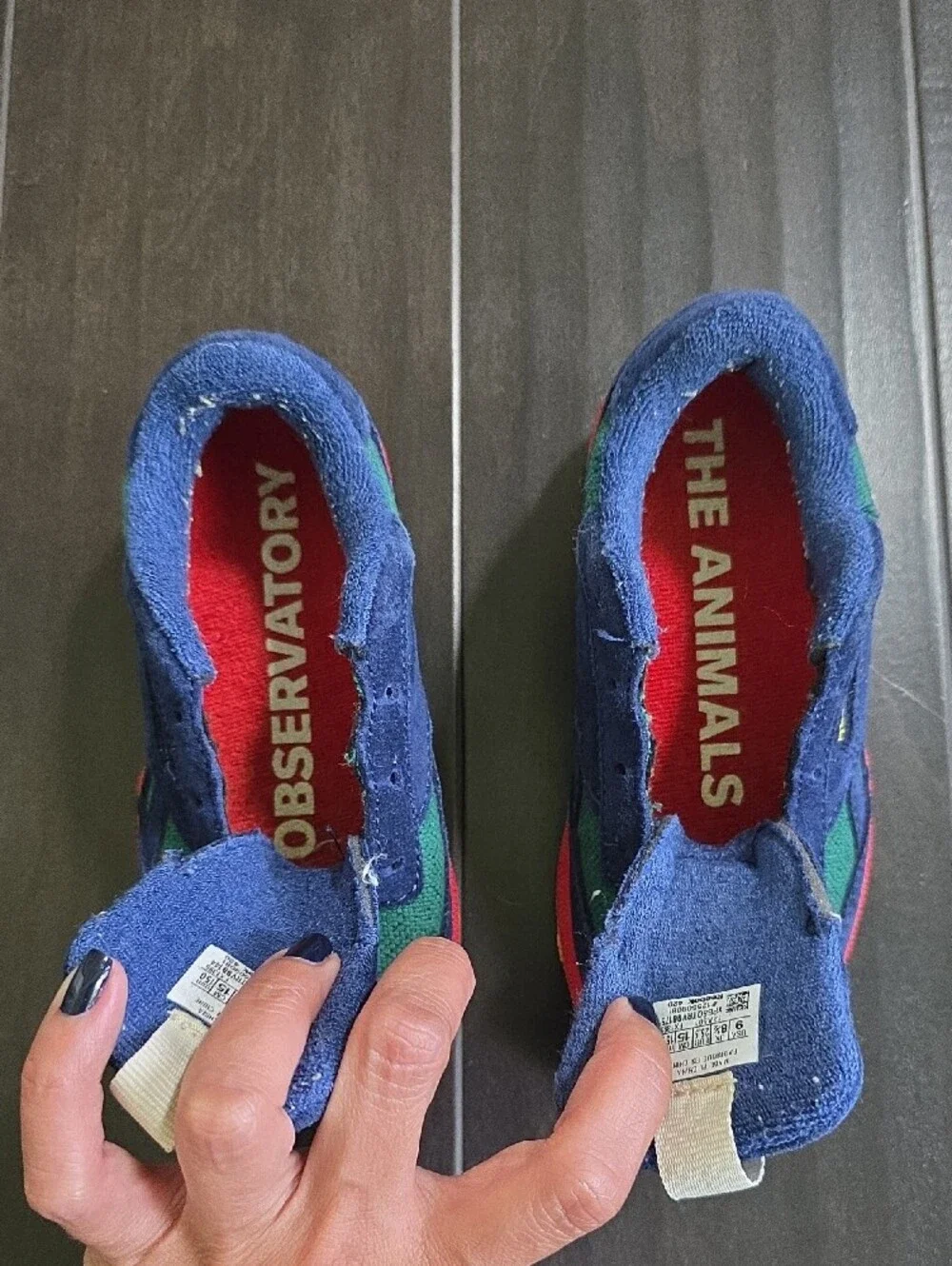 Kids Navy & Green Low-Top Sneakers